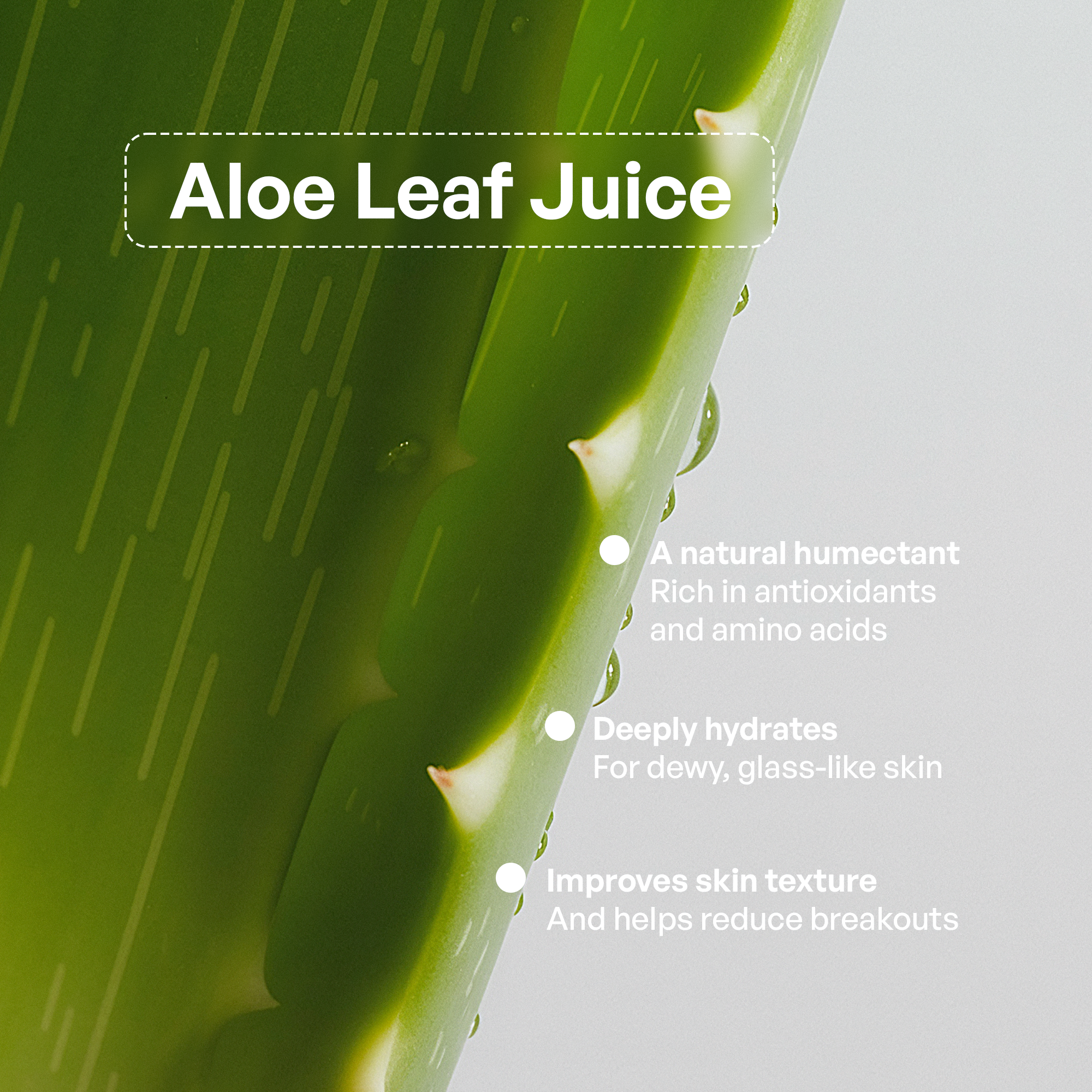 Foaming Oil Cleanser